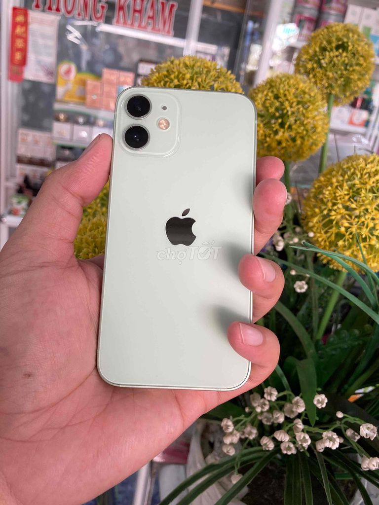 Apple iPhone 12 mini 64GB Xanh lá. Mua bán Điện thoại tại Quận Ninh Kiều Cần Thơ được đăng bởi Thanh Mến hình 1
