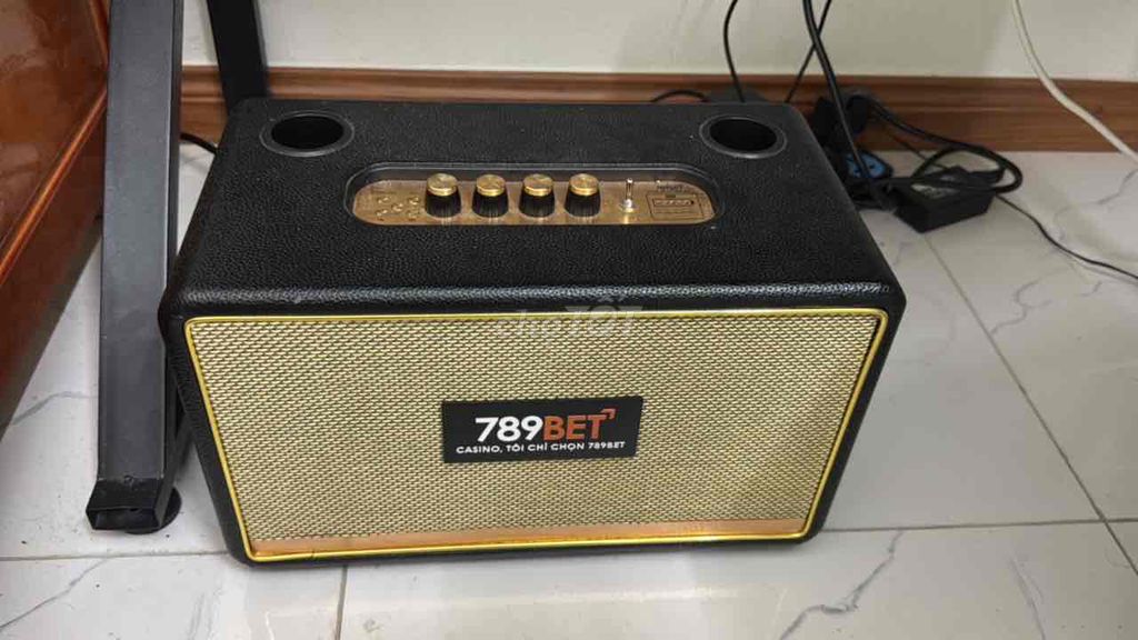 Loa karaoke Đen, Vàng kèm 2 micro. Mua bán Tivi, Âm thanh tại Thành phố Thanh Hóa Thanh Hóa được đăng bởi Lê Văn Lam hình 1