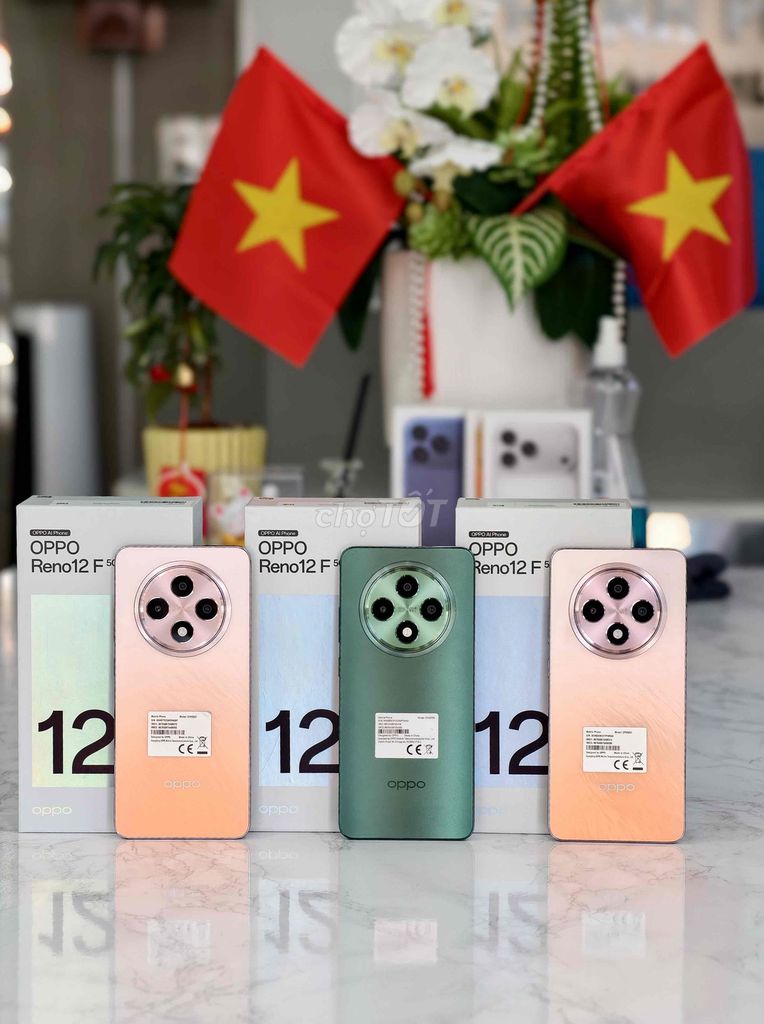 OPPO Reno12F 5G 256GB Hồng Mới. Mua bán Điện thoại tại Thành phố Cà Mau Cà Mau được đăng bởi Thanh phong  hình 1