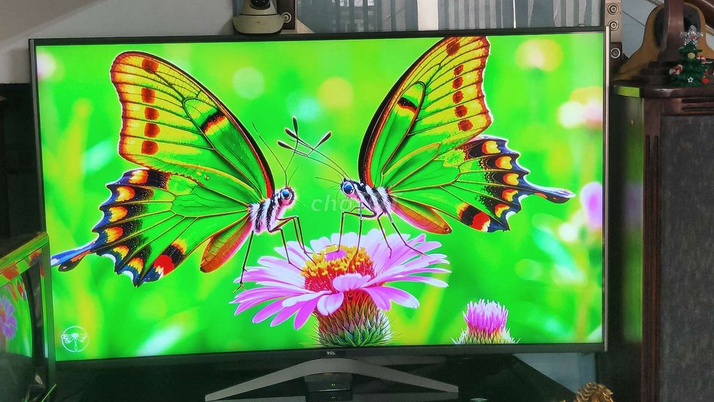 smart TV TCL43IN 4K GIỌNG NÓI BELUTOOTH YOUTUBE. Mua bán Tivi, Âm thanh tại Huyện Bình Chánh Tp Hồ Chí Minh được đăng bởi pham quang vinh hình 1