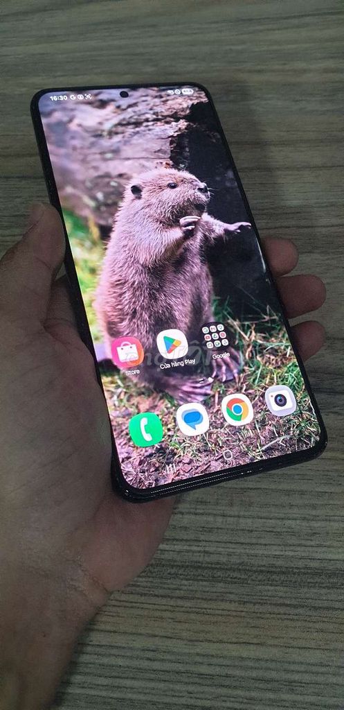 Samsung S21 Plus xài ram 8/128, có 120hz nữa . Mua bán Điện thoại tại Quận Phú Nhuận Tp Hồ Chí Minh được đăng bởi Trần Gia Bảo hình 1