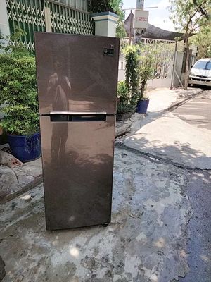 Bán tủ lạnh 250 lit bao vận chuyển  miễn phí