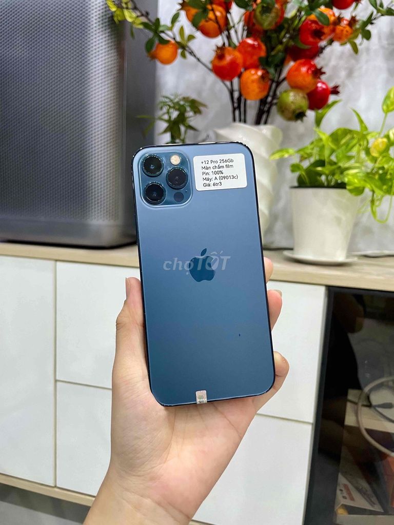 iPhone 12 Pro 256GB QT Blue, màn chấm film. Mua bán Điện thoại tại Huyện Hóc Môn Tp Hồ Chí Minh được đăng bởi Luân Hoài hình 1