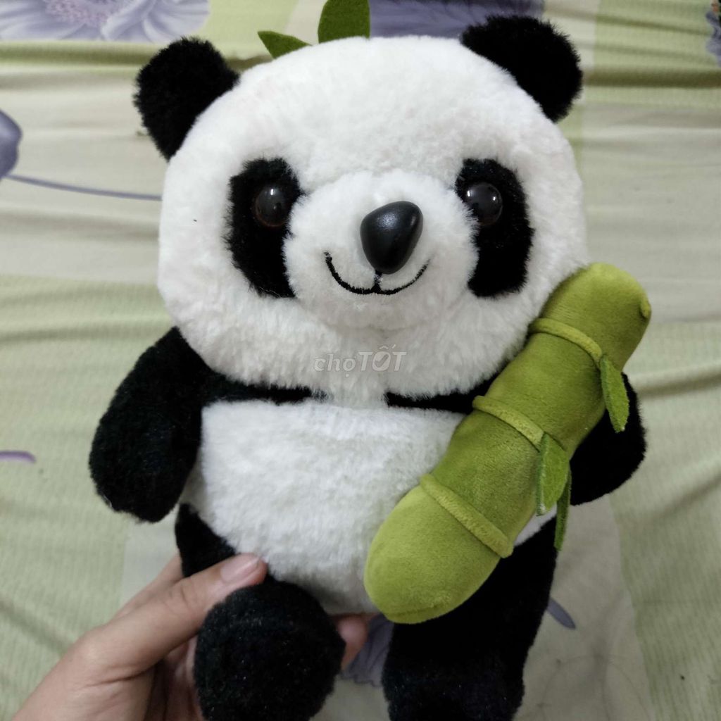 Gấu bông 20cm Đen Trắng