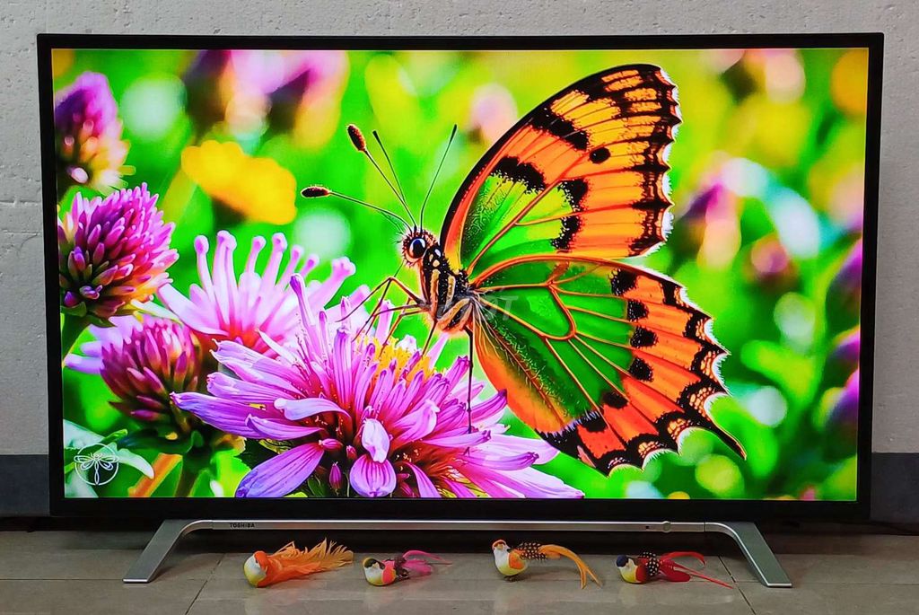 Tivi Toshiba 32 inch Wifi zin đẹp. Mua bán Tivi, Âm thanh tại Quận Ninh Kiều Cần Thơ được đăng bởi Luật Nguyễn hình 1