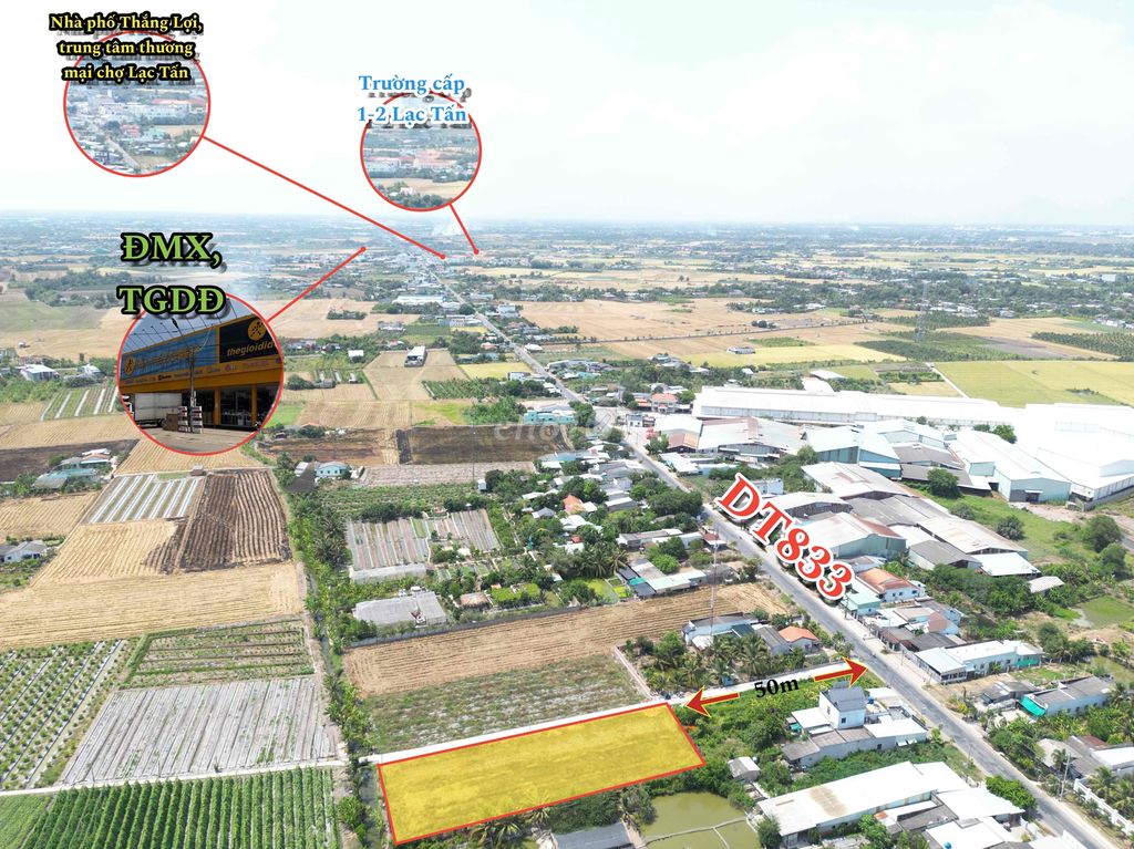 Đất thổ sát tỉnh lộ, nhà máy, tiện ích, đường xe hơi. Mua bán đất tại Huyện Tân Trụ Long An được đăng bởi Tuyến Lê hình 1