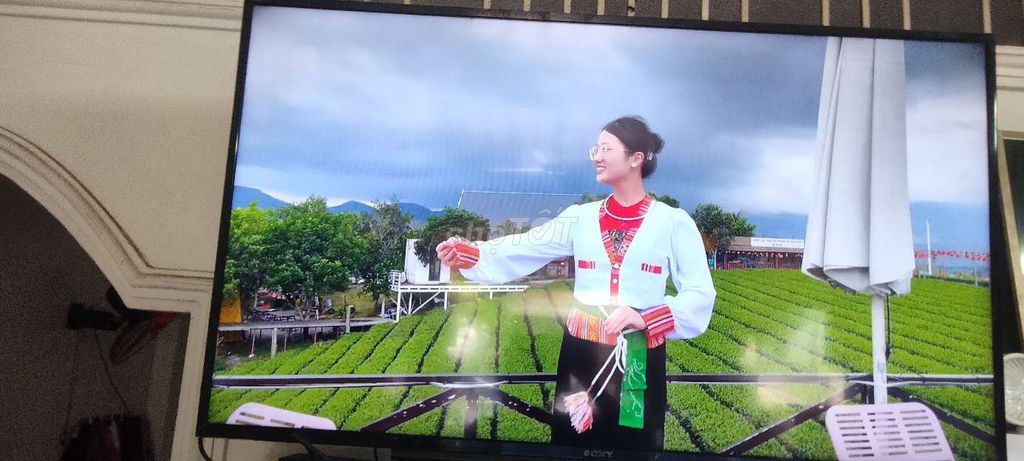 Tivi Sony 50 inch Đã qua sử dụng. Mua bán Tivi, Âm thanh tại Quận Bình Tân Tp Hồ Chí Minh được đăng bởi quac dung hình 1