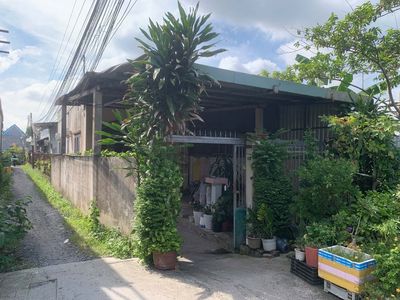 Chính chủ bán nhà An Phú Tây, Bình Chánh