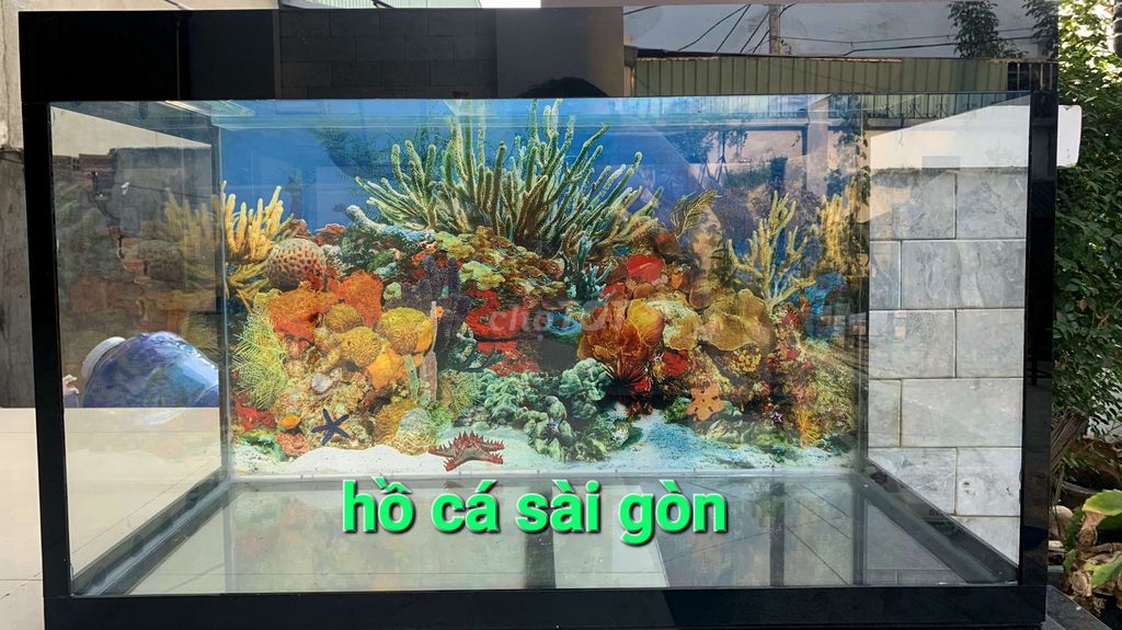 Hồ cá ,bể kính 80x40 cao 50cm Mới (NHẬN LÀM HỒ). Mua bán Phụ kiện, Thức ăn, Dịch vụ tại Quận 12 Tp Hồ Chí Minh được đăng bởi Hồ Cá Sài Gòn hình 1