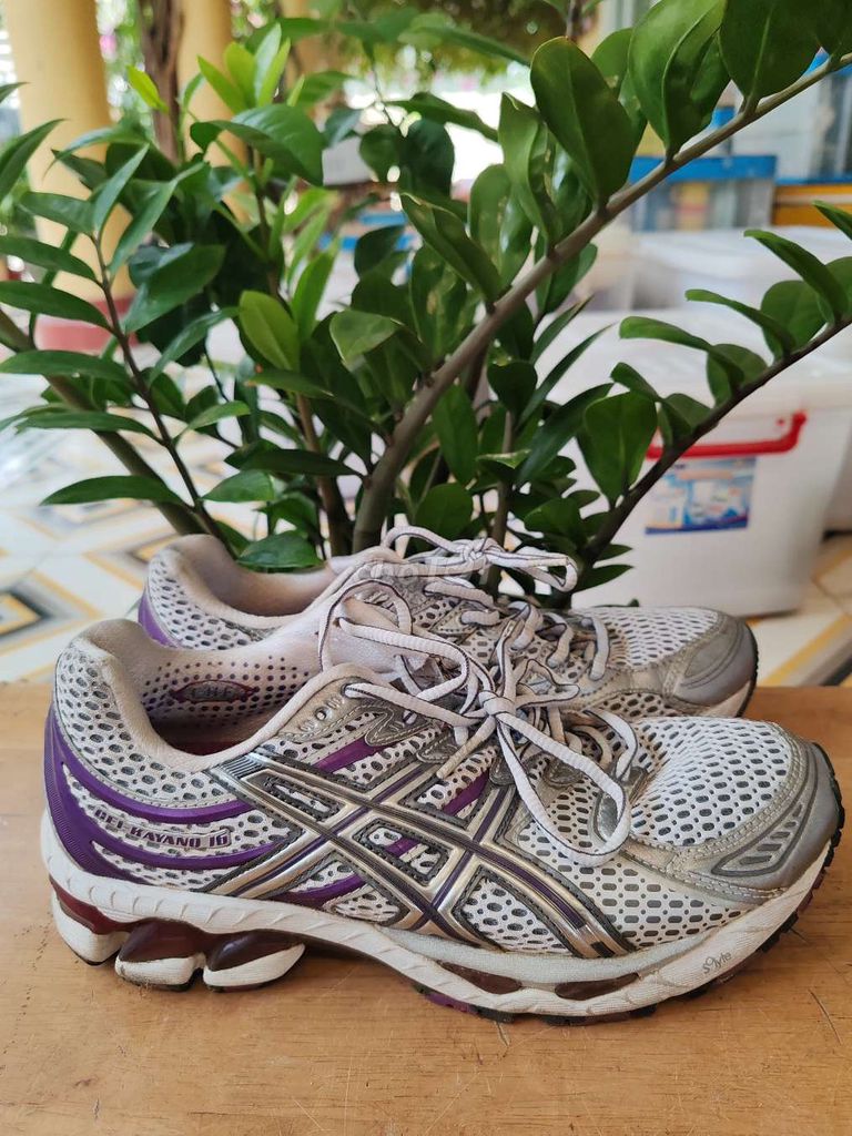 Giày thể thao Asics Gel-Kayano. Mua bán Giày dép tại Quận 7 Tp Hồ Chí Minh được đăng bởi Vy Vy hình 1