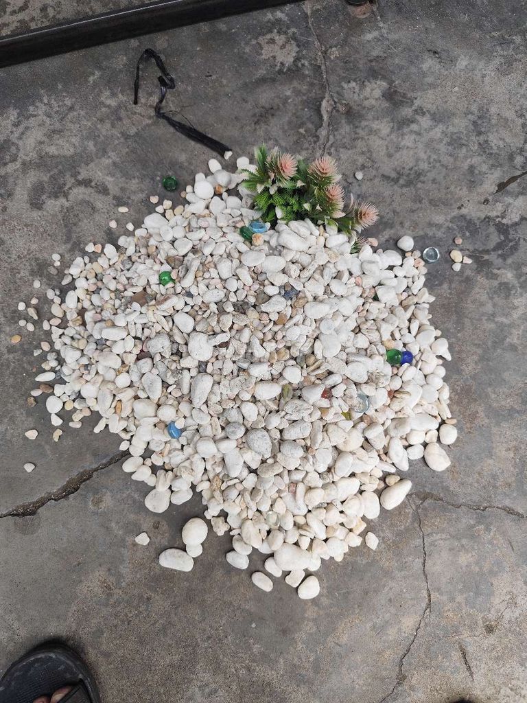 Sỏi trang trí Trắng 9kg. Mua bán Cây cảnh, đồ trang trí tại Thị xã Tân Uyên Bình Dương được đăng bởi Tên chưa cung cấp hình 1
