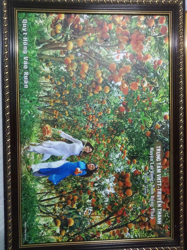 Tranh treo tường gỗ vàng đồng. Mua bán Cây cảnh, đồ trang trí tại Quận Ninh Kiều Cần Thơ được đăng bởi Duy Minh hình 1