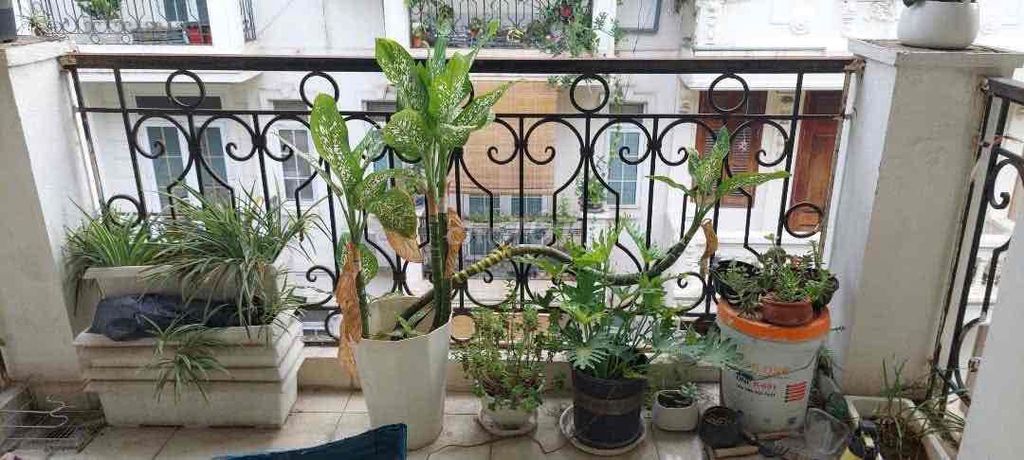 Комната в районе вилл 96B Nguyen Huy Tuong, Thanh Xuan