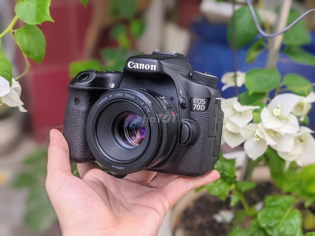 [Máy ảnh KTS] Canon 70D ống kính 50mm STM. Mua bán Máy ảnh, Máy quay tại Quận 6 Tp Hồ Chí Minh được đăng bởi may anh KTS hình 1
