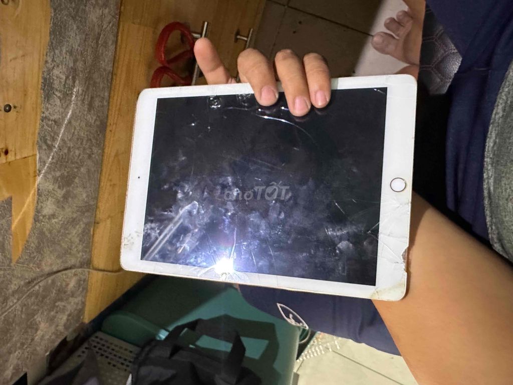 xác ipad pro 9.7 128gb , icloud sạch