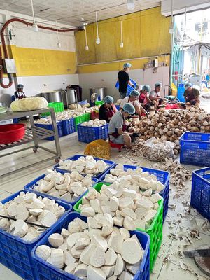 Tuyển LDPT cho xưởng sản xuất nông sản.