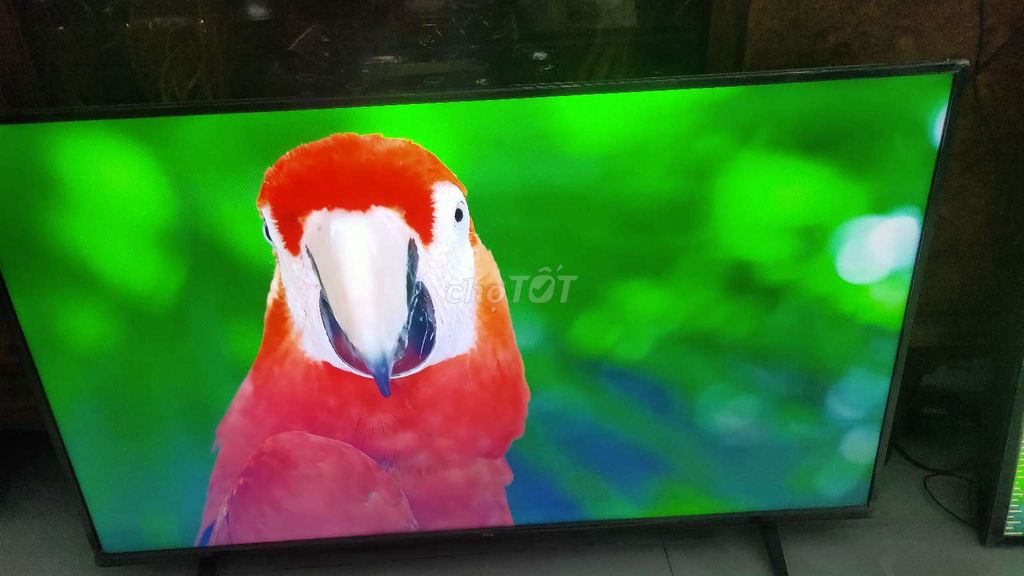 smart TV TCL43IN 4K Giọng nói wifi YouTube nhanh . Mua bán Tivi, Âm thanh tại Huyện Bình Chánh Tp Hồ Chí Minh được đăng bởi pham quang vinh hình 1