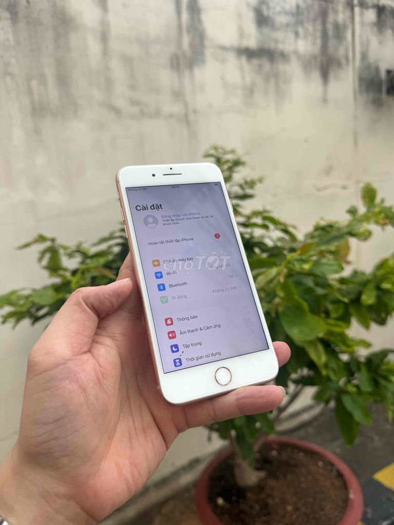 Apple iPhone 8 Plus 64GB Vàng Đã qua sử dụng. Mua bán Điện thoại tại Thành phố Vũng Tàu Bà Rịa - Vũng Tàu được đăng bởi BINHHYK  hình 1