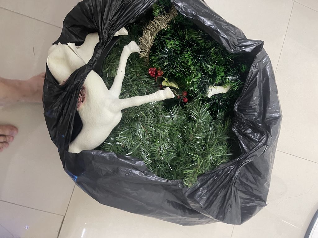 Mình cho đồ trang trí noel