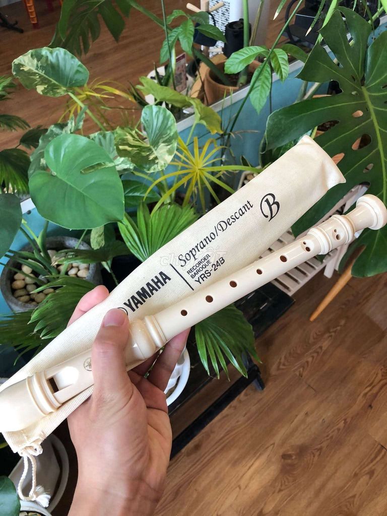 Sáo Nhựa Recorder cho học sinh