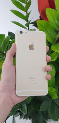 IPhone 6S Plus dùng tốt,nhiều loại,đủ màu,có ship❤