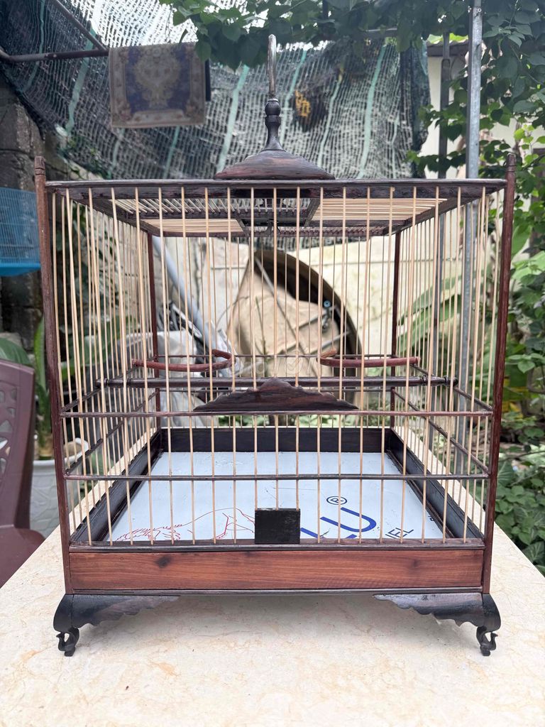 Lồng chim Chào mào Gỗ mun. Mua bán Phụ kiện, Thức ăn, Dịch vụ tại Thành phố Huế Thừa Thiên Huế được đăng bởi Thiên  hình 1