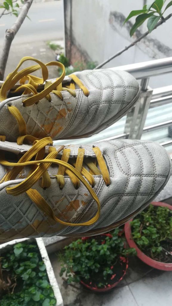 giày đá bóng siZe 43 Kamito. Mua bán Giày dép tại Thành phố Thủ Đức Tp Hồ Chí Minh được đăng bởi Bạch Ngọc Đường  hình 1