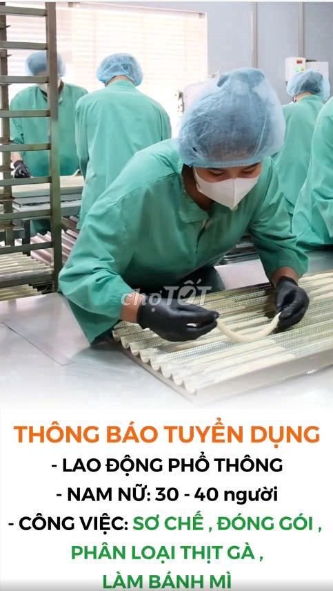 [BÌNH CHÁNH] TUYỂN DỤNG LDPT BAO ĂN Ở