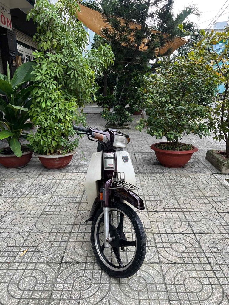 bán Dream thái nhập đời 1994,bstp,bao tranh chấp. Mua bán Xe máy tại Quận Tân Bình Tp Hồ Chí Minh được đăng bởi Thân thi hương  hình 1