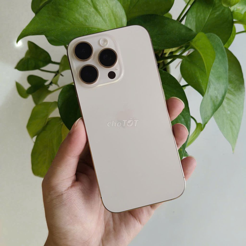iPhone 16 Pro VN/A 128GB ★ᴛʜᴜ ᴆᴛ ᴄᴜ̃★. Mua bán Điện thoại tại Quận Ninh Kiều Cần Thơ được đăng bởi DI ĐỘNG BULL hình 1