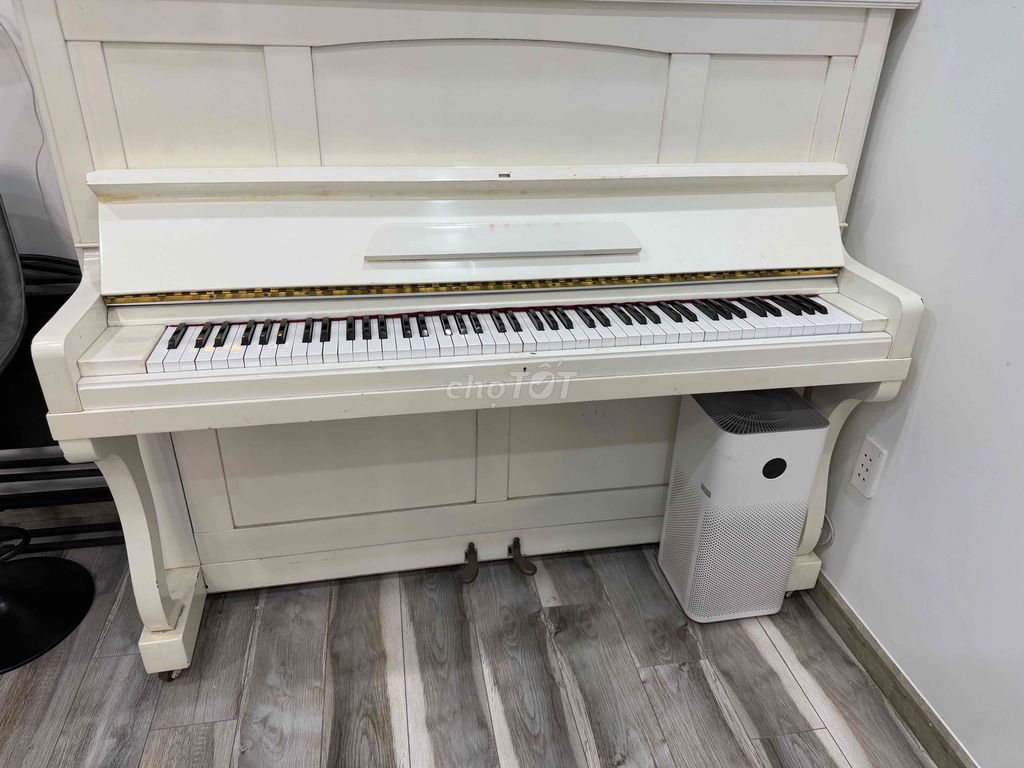 piano màu trắng nhập Nhật