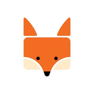 Face Wash Fox - Công ty cổ phần FB Network logo
