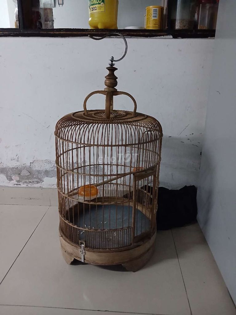 Lồng 60 fom to.gl. Mua bán Phụ kiện, Thức ăn, Dịch vụ tại Quận 10 Tp Hồ Chí Minh được đăng bởi Vũ toàn hình 1