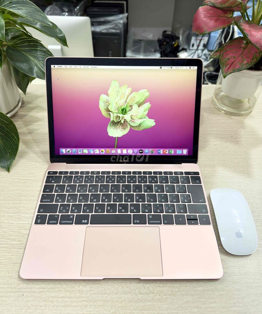 Macbook Retina 2017 i5 Ram8 SSD512 màn 12” pin new. Mua bán Laptop tại Quận Hai Bà Trưng Hà Nội được đăng bởi Akiba shop hình 1