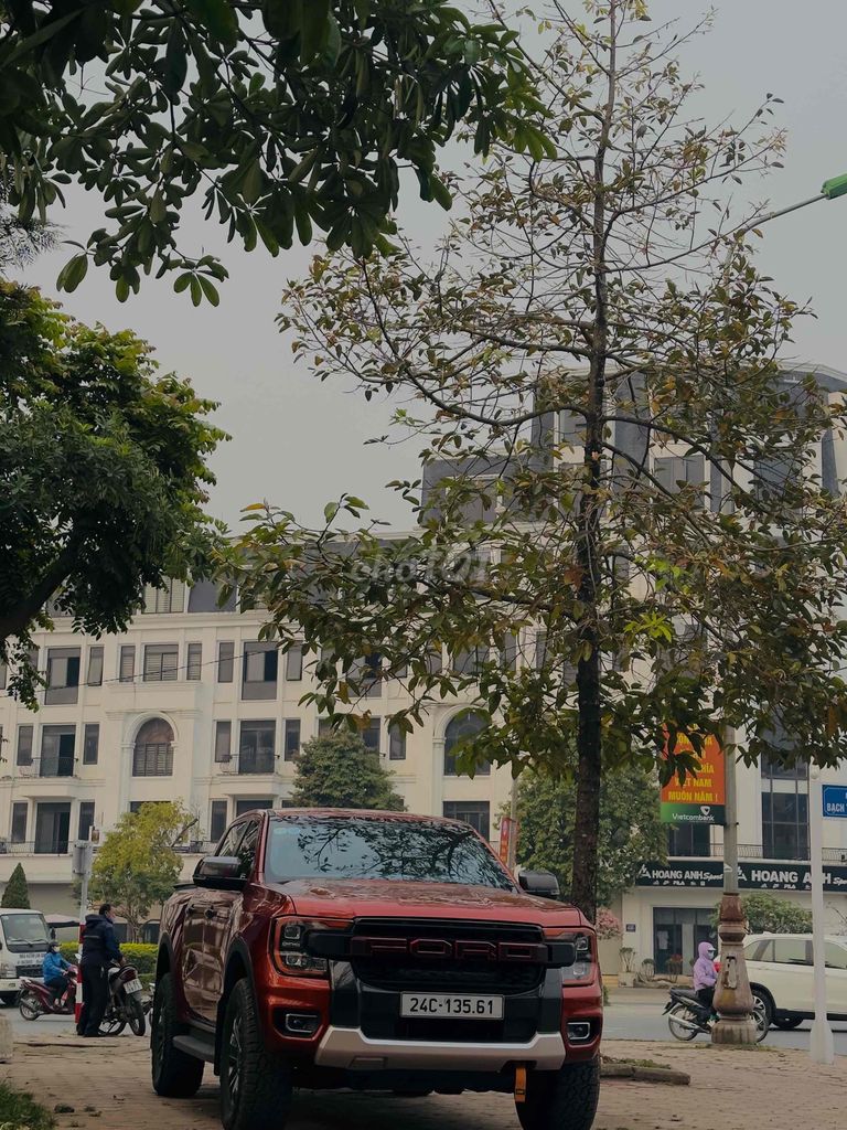Ảnh số 5
