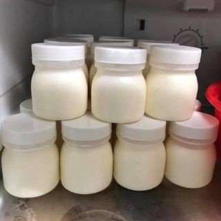 Yaourt dẻo thơm nhà làm sữa tươi nguyên chất