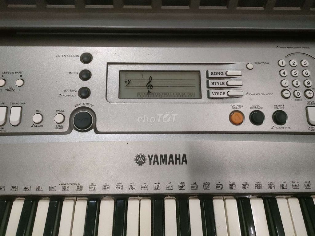 Đàn organ Yamaha vn300