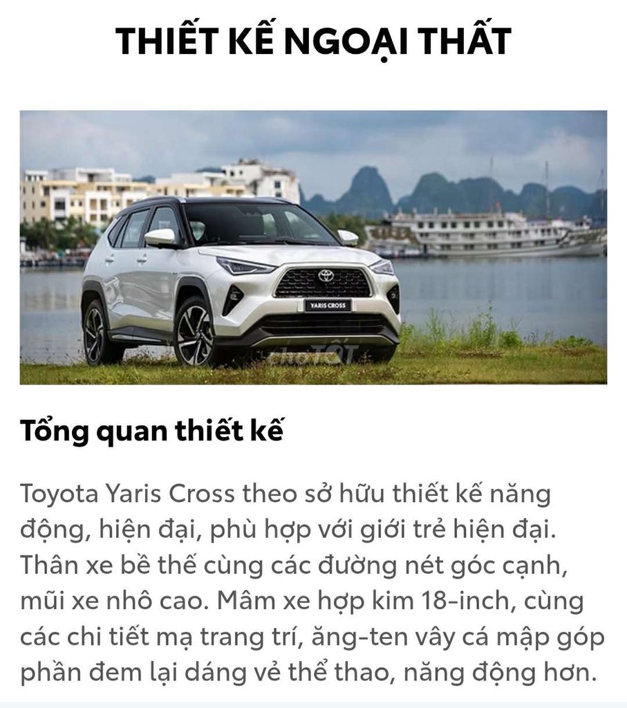 Ảnh số 4