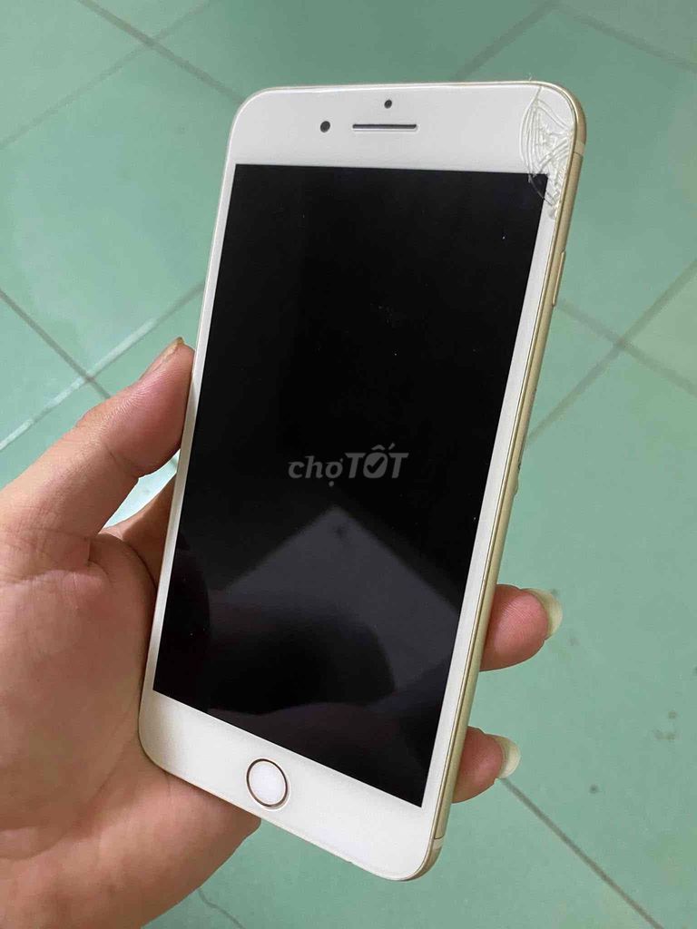 iPhone 7 Plus 32GB Vàng. Mua bán Điện thoại tại Huyện Đắk Hà Kon Tum được đăng bởi Quốc Hoàng hình 1