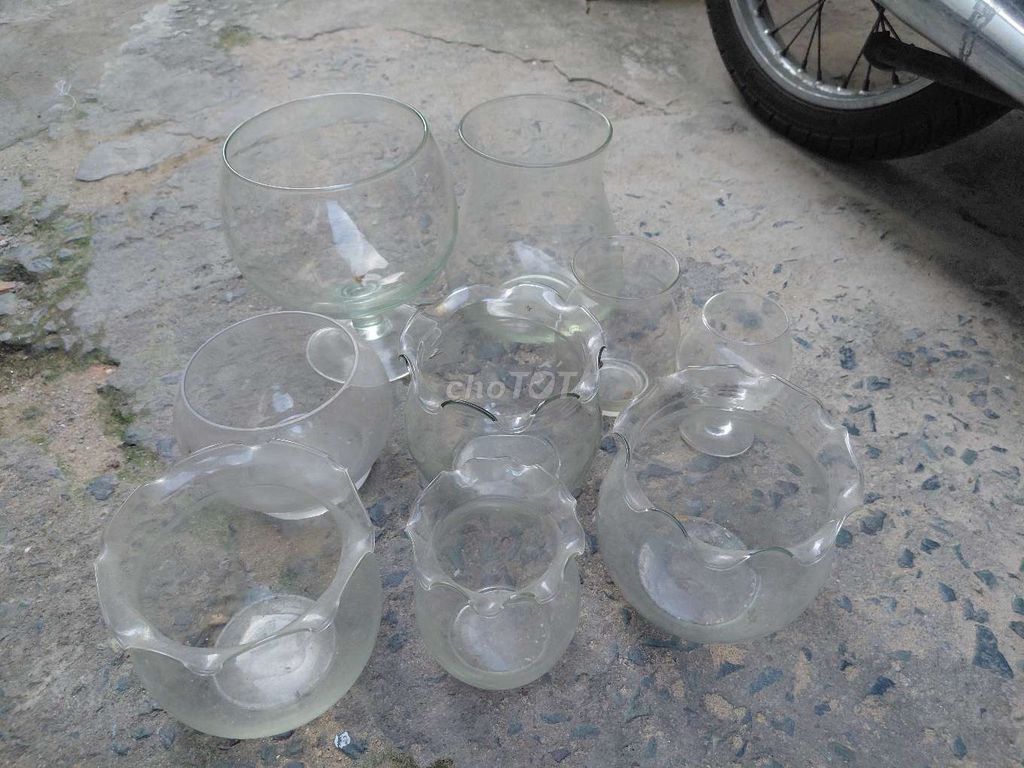 Chậu nuôi cá Thủy tinh Trong suốt. Mua bán Thú cưng khác tại Quận 8 Tp Hồ Chí Minh được đăng bởi nhung  hình 1