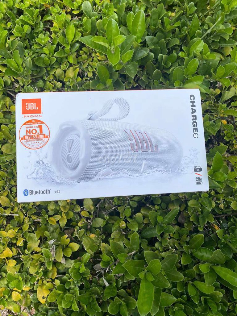 JBL charge 6 trắng tuyết. Mua bán Tivi, Âm thanh tại Huyện Cẩm Mỹ Đồng Nai được đăng bởi Tran Duy Hung hình 1