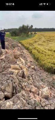 Bán 3005m2 đất lúa, sổ hồng, giá chỉ 250 triệu Tuyên Thạnh, Tây Ninh. Mua bán đất tại Thị xã Kiến Tường Long An được đăng bởi Tuấn Võ Văn