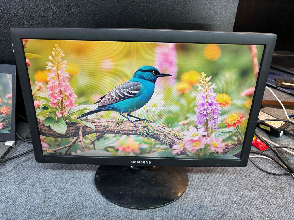 🖥️Màn hình LED Samsung 19” chữa cháy