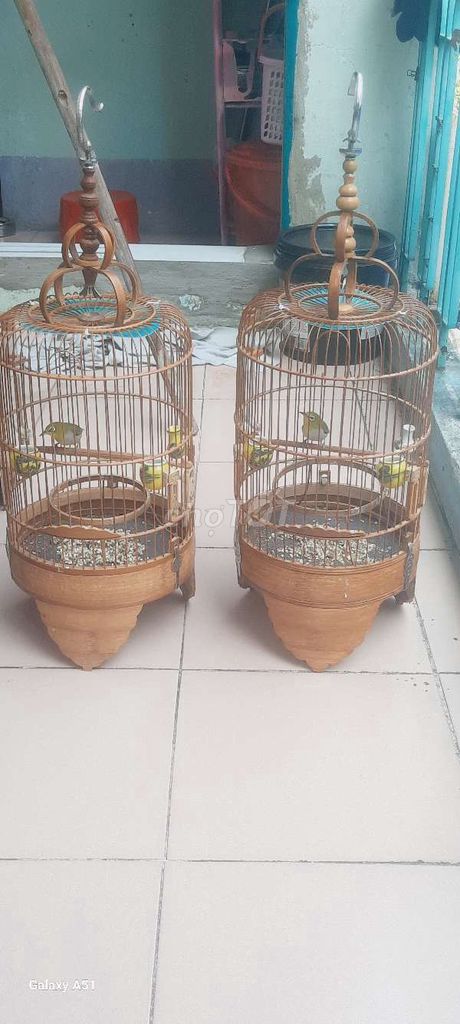 Thanh lý hai bộ chim khuyên nuôi được 5 tháng. Mua bán Chim tại Quận 10 Tp Hồ Chí Minh được đăng bởi kiệt hào  hình 2