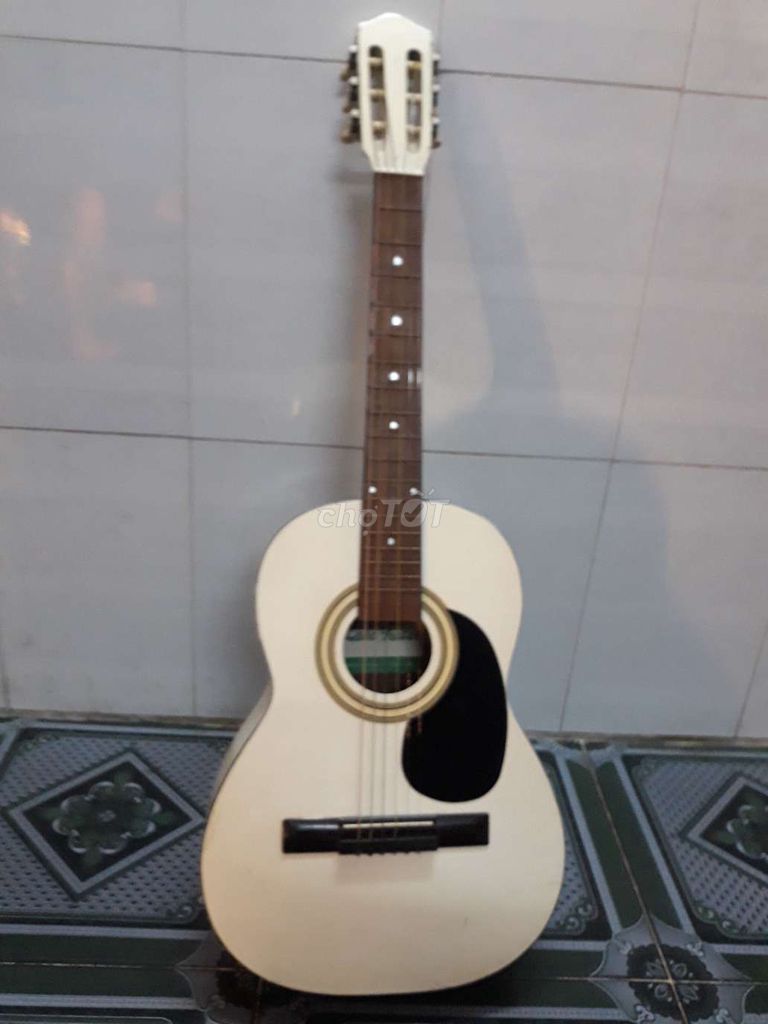 Bán Guitar 500K  Acoustic & Classic Nhật Bản