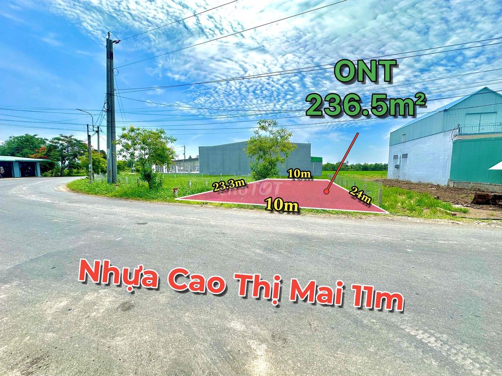 Đất thổ cư mặt tiền nhựa Cao Thị Mai, Tân Trụ