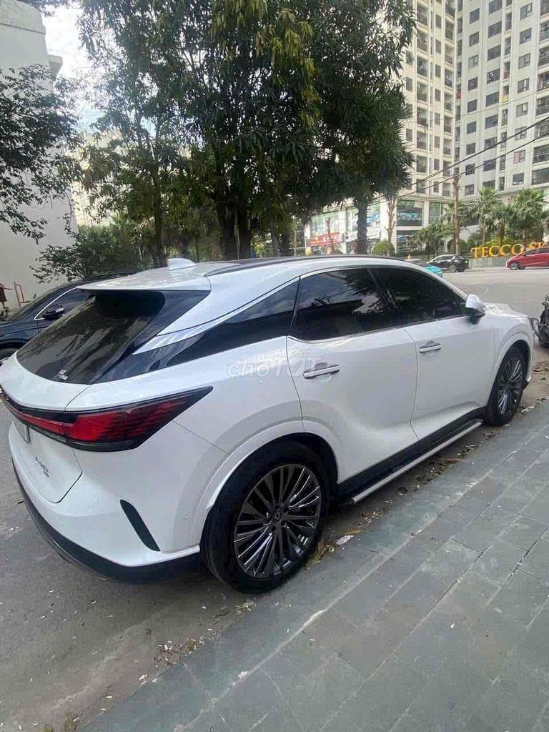 Ảnh số 2