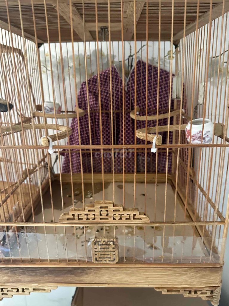 Lồng chim tre Nâu số lượng 2. Mua bán Phụ kiện, Thức ăn, Dịch vụ tại Thị xã Điện Bàn Quảng Nam được đăng bởi Trần Tuấn hình 1