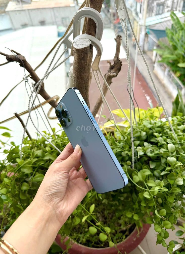 Apple iPhone 13 Pro Max 128GB Xanh 8x. Mua bán Điện thoại tại Quận 5 Tp Hồ Chí Minh được đăng bởi Hội Đồ Điện Tử hình 1
