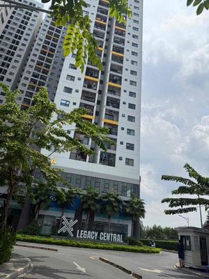 Cần cho thuê căn hộ legacy kim oanh có nội thất, giá rẻ.